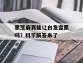 黑芝麻真能让白发变黑吗？科学解答来了