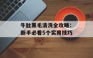 牛肚黑毛清洗全攻略：新手必看5个实用技巧