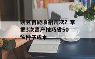 豌豆苗能收割几次？掌握3次高产技巧省50%种子成本