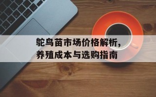 鸵鸟苗市场价格解析,养殖成本与选购指南
