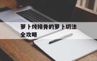萝卜炖排骨的萝卜切法全攻略