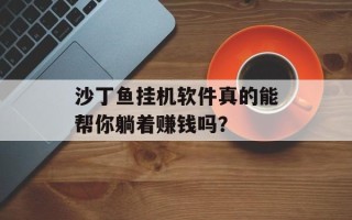 沙丁鱼挂机软件真的能帮你躺着赚钱吗？