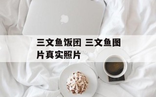 三文鱼饭团 三文鱼图片真实照片