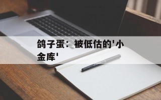 鸽子蛋：被低估的'小金库'