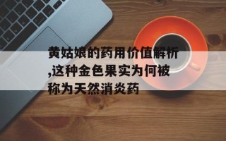 黄姑娘的药用价值解析,这种金色果实为何被称为天然消炎药