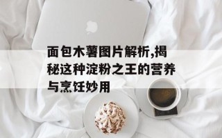 面包木薯图片解析,揭秘这种淀粉之王的营养与烹饪妙用