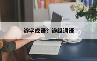 辫字成语？辫组词语