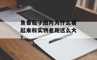 鱼香茄子图片为什么看起来和实物差距这么大？