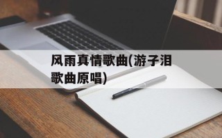风雨真情歌曲(游子泪歌曲原唱)