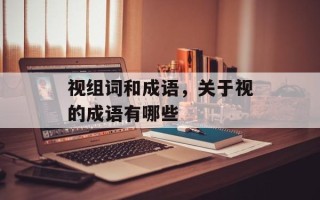 视组词和成语，关于视的成语有哪些