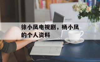 徐小凤电视剧，杨小凤的个人资料
