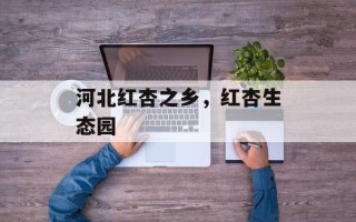 河北红杏之乡，红杏生态园