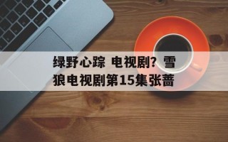 绿野心踪 电视剧？雪狼电视剧第15集张蔷