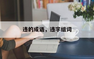 违的成语，违字组词