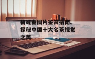 碧螺春图片鉴赏指南,探秘中国十大名茶视觉之美