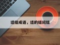 适组成语，适的组词组