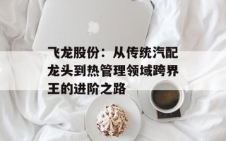 飞龙股份：从传统汽配龙头到热管理领域跨界王的进阶之路