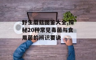野生蘑菇图鉴大全,探秘20种常见毒菌与食用菌的辨识要诀