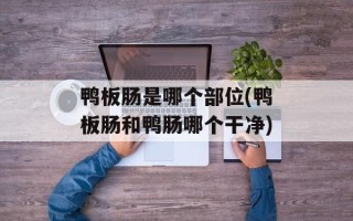 鸭板肠是哪个部位(鸭板肠和鸭肠哪个干净)