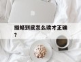 缢蛏到底怎么读才正确？