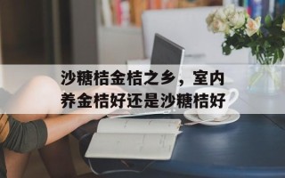 沙糖桔金桔之乡，室内养金桔好还是沙糖桔好