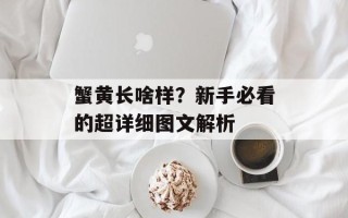 蟹黄长啥样？新手必看的超详细图文解析