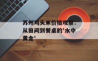 苏州鸡头米价格观察：从田间到餐桌的'水中黄金'
