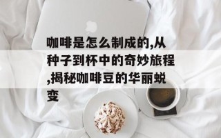 咖啡是怎么制成的,从种子到杯中的奇妙旅程,揭秘咖啡豆的华丽蜕变