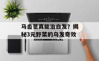 马齿苋真能治白发？揭秘3元野菜的乌发奇效