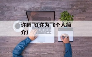 许鹏飞(许为飞个人简介)