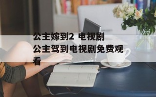 公主嫁到2 电视剧 公主驾到电视剧免费观看