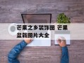 芒果之乡装饰图 芒果盆栽图片大全