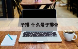 子排 什么是子排骨