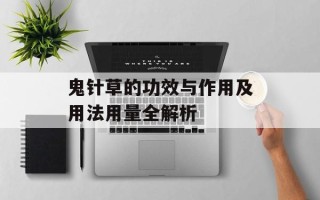 鬼针草的功效与作用及用法用量全解析