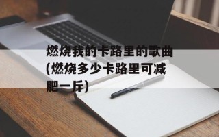 燃烧我的卡路里的歌曲(燃烧多少卡路里可减肥一斤)