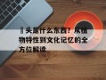 藠头是什么东西？从植物特性到文化记忆的全方位解读