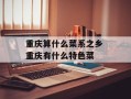 重庆算什么菜系之乡 重庆有什么特色菜