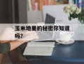 玉米地里的秘密你知道吗？