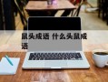 鼠头成语 什么头鼠成语