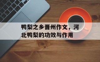 鸭梨之乡晋州作文，河北鸭梨的功效与作用