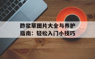 酢浆草图片大全与养护指南：轻松入门小技巧