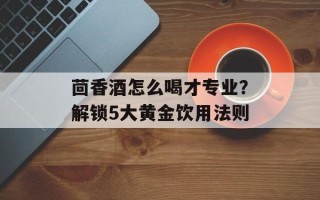 茴香酒怎么喝才专业？解锁5大黄金饮用法则