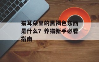 猫耳朵里的黑褐色东西是什么？养猫新手必看指南