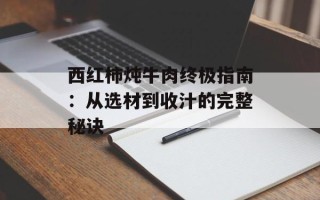 西红柿炖牛肉终极指南：从选材到收汁的完整秘诀