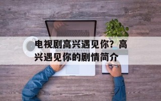 电视剧高兴遇见你？高兴遇见你的剧情简介