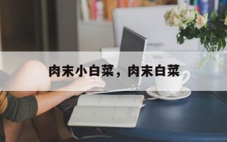 肉末小白菜，肉末白菜