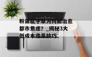粉黛乱子草为何能治愈都市焦虑？_揭秘3大低成本造景技巧