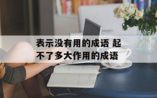表示没有用的成语 起不了多大作用的成语