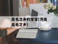 皮毛之乡的宝宝(河南皮毛之乡)