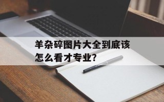 羊杂碎图片大全到底该怎么看才专业？